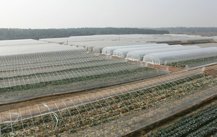 華億樂購商品直采基地